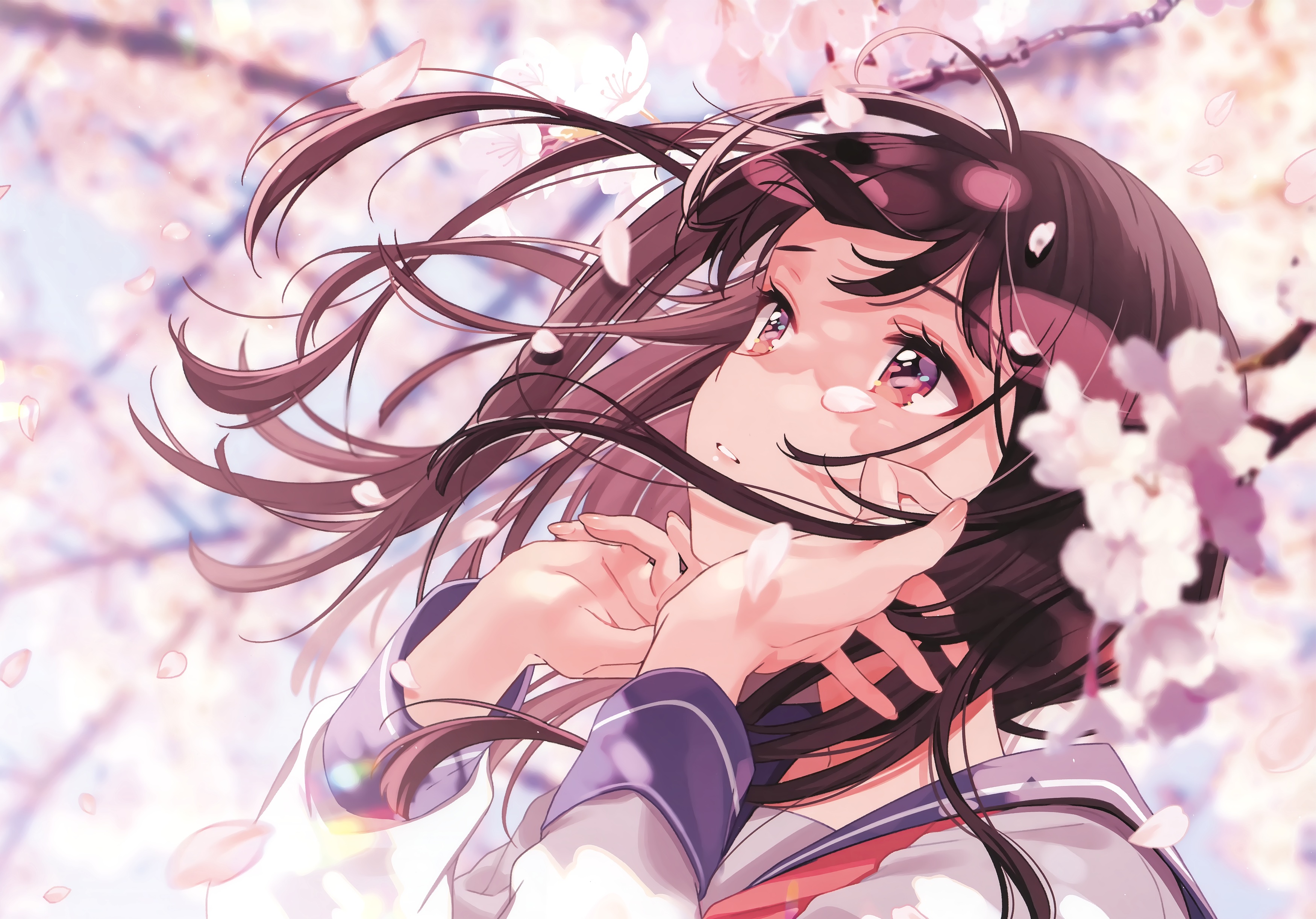 热播3